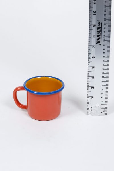 Metal Salmon Mug with Blue Edge