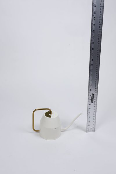 Green Pitcher 2
