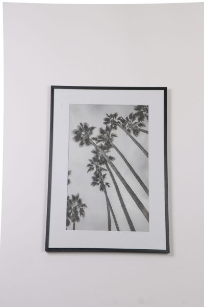 B&W Palm Trees Wall Art