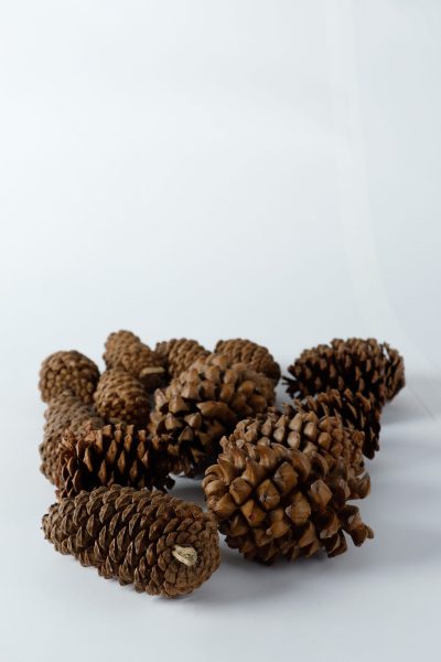 Gold Plastic Ornaments 3