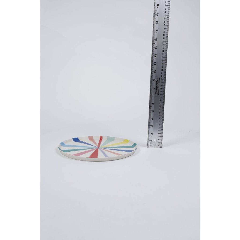 Rainbow Pinwheel Plate