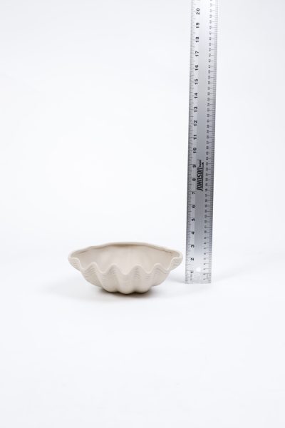 Beige Cermaic Shell