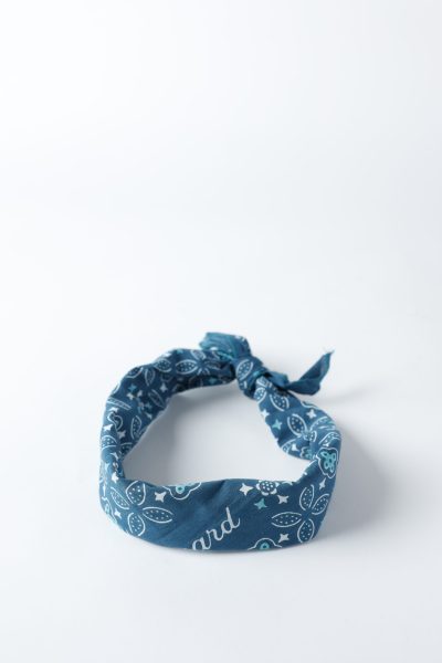 Dog Bandana Blue