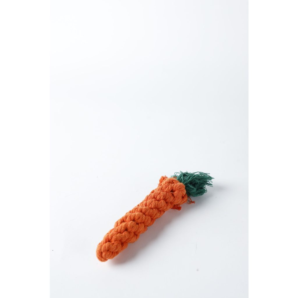 Dog Carrot Chew Toy