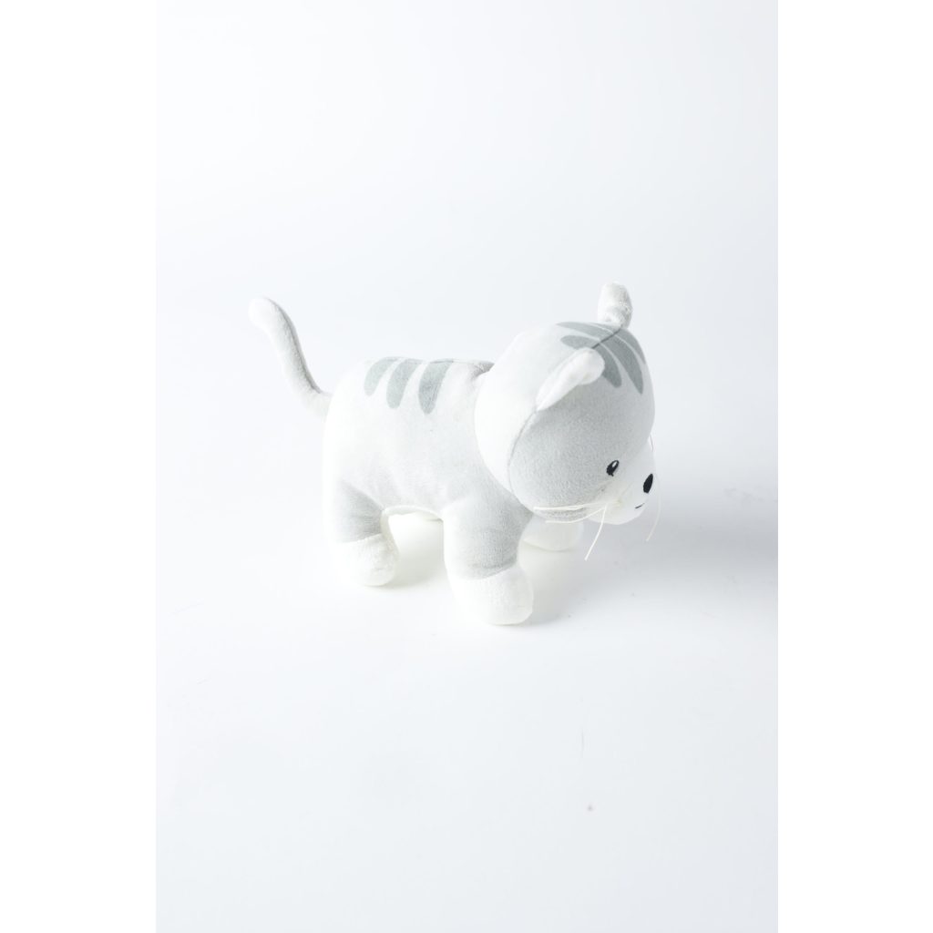 Dog Cat Toy