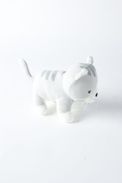 Dog Cat Toy