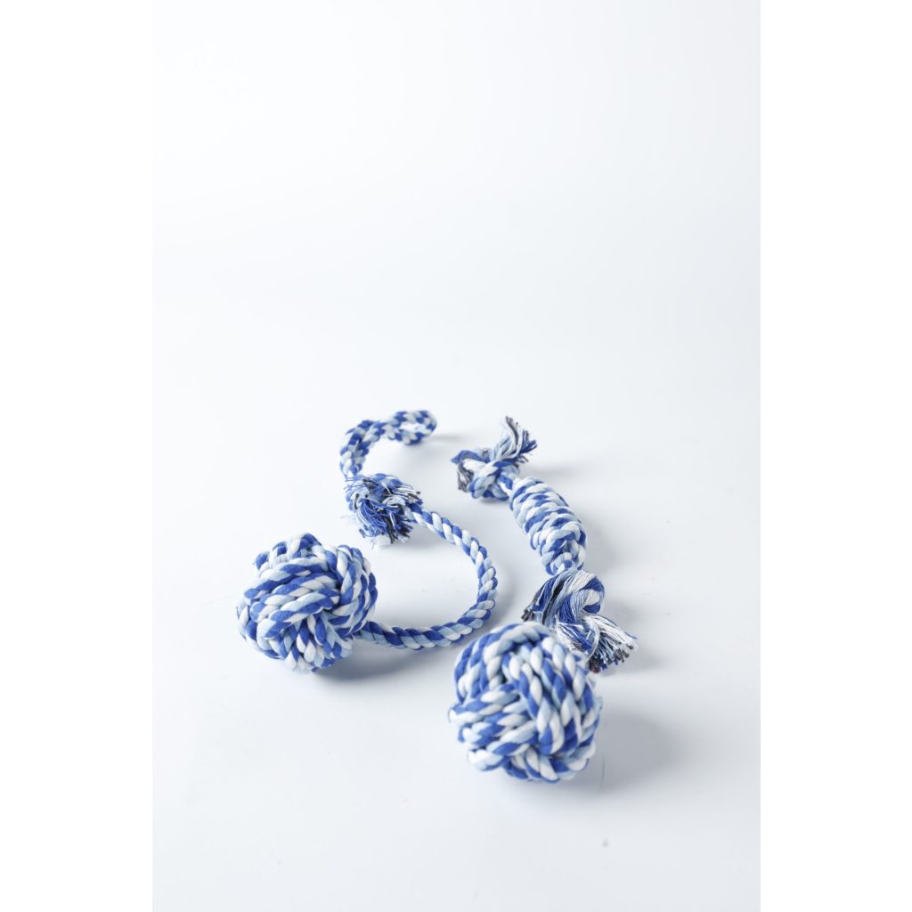 Dog Blue Chew Rope