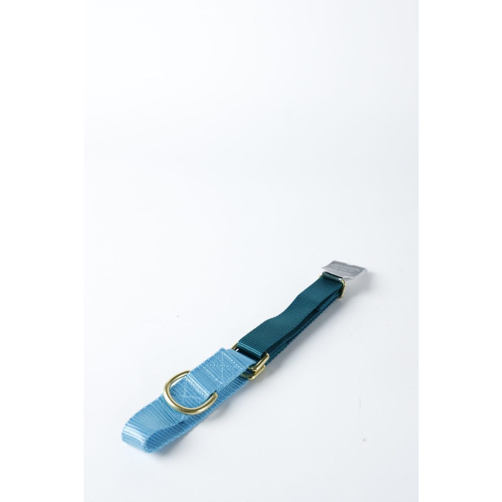 Dog Colar Blue