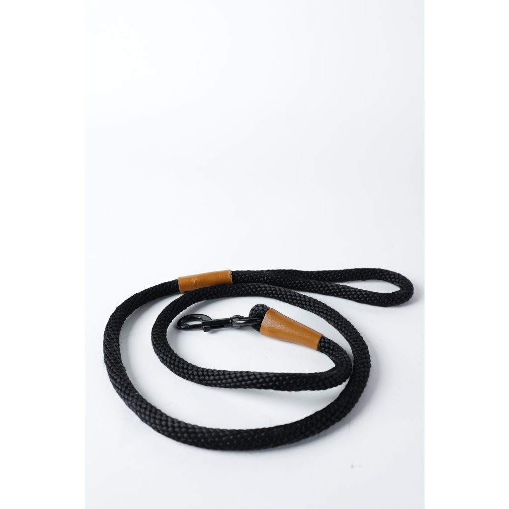 Dog Black Leash
