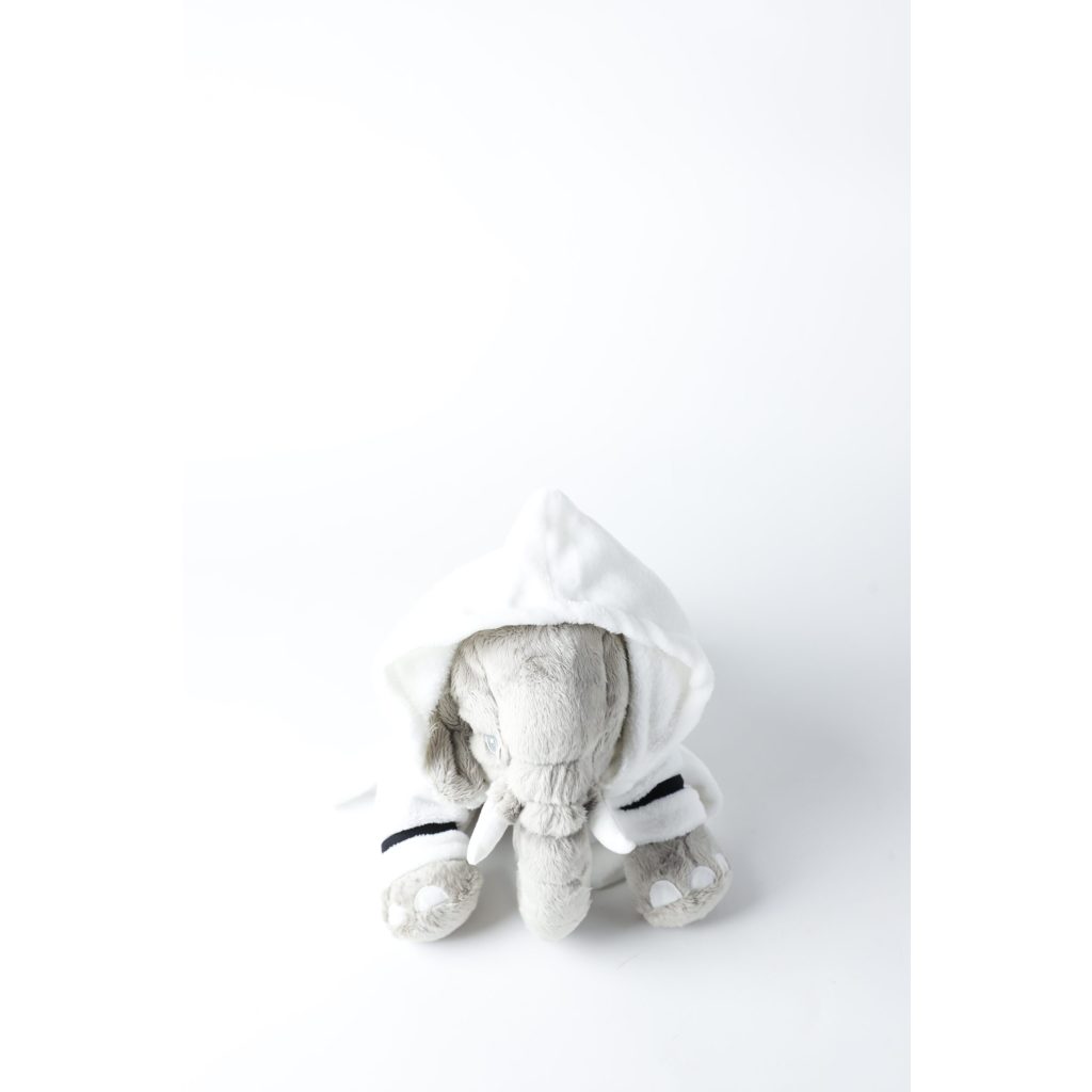 Dog Bath Robe