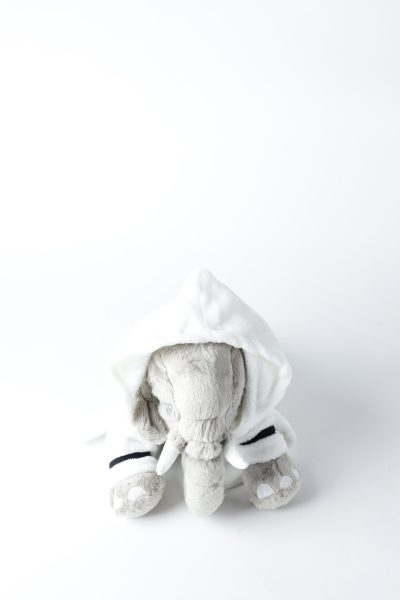 Dog Bath Robe