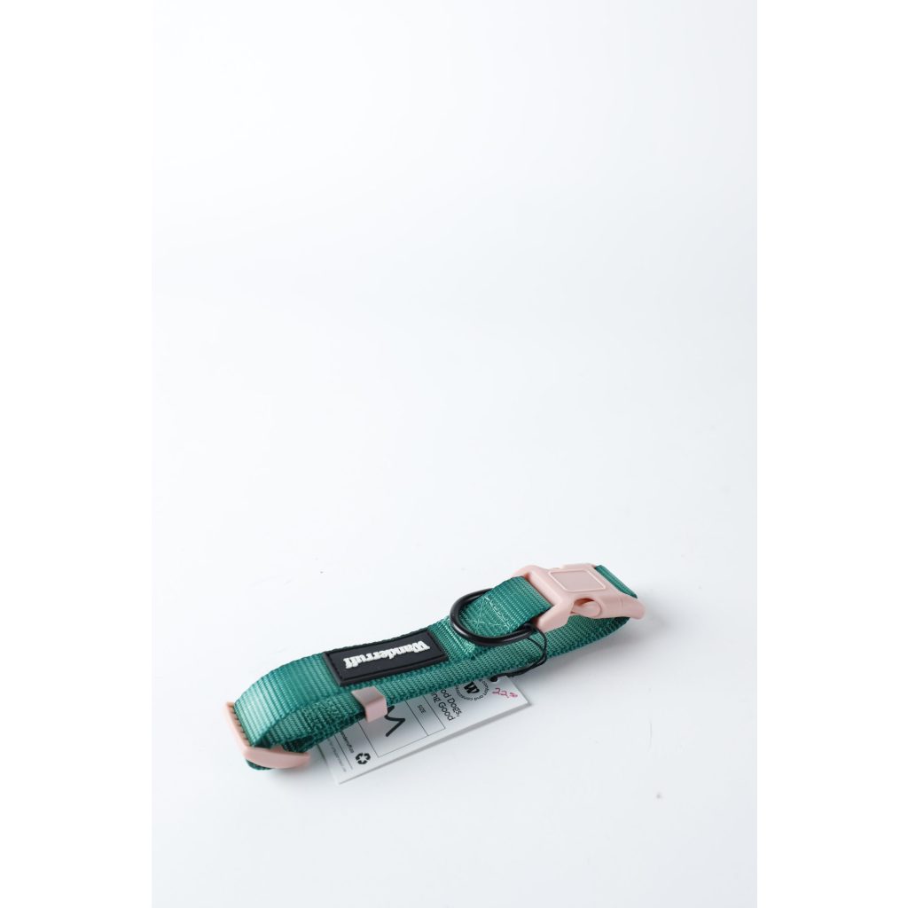 Dog Pink & Green Colar