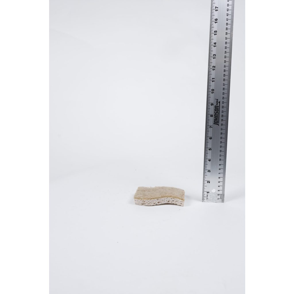Brown Dish Sponge