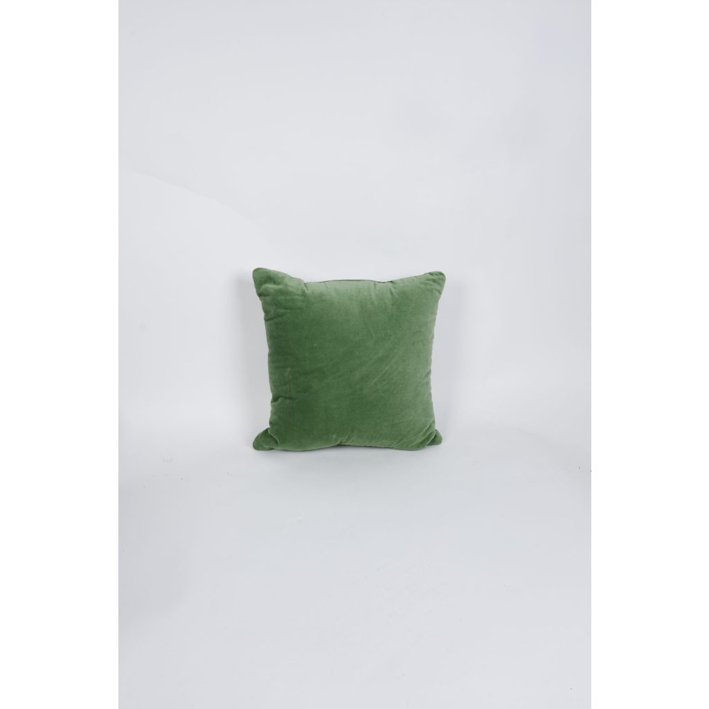 Green Velvet Light Green Linen Back Pillow