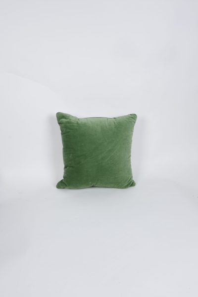 Green Velvet Light Green Linen Back Pillow