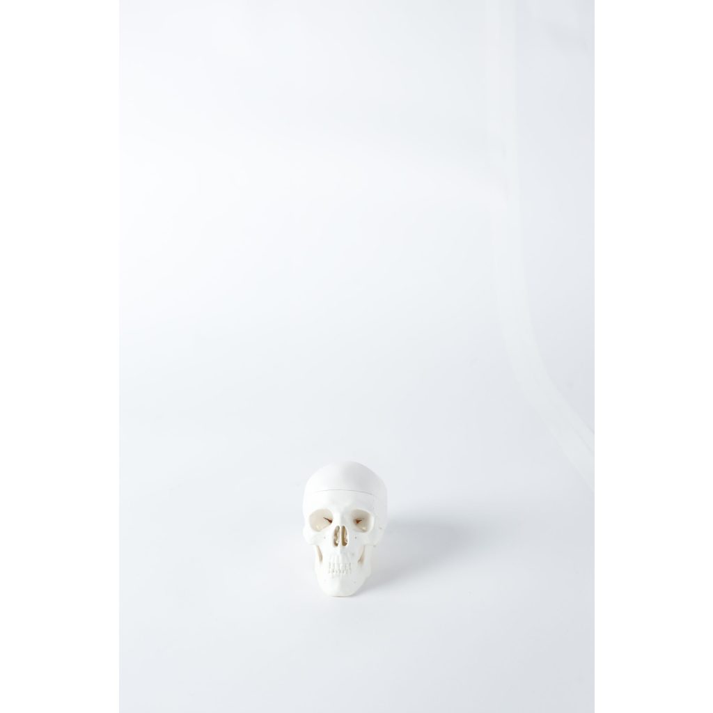 Mini Skull