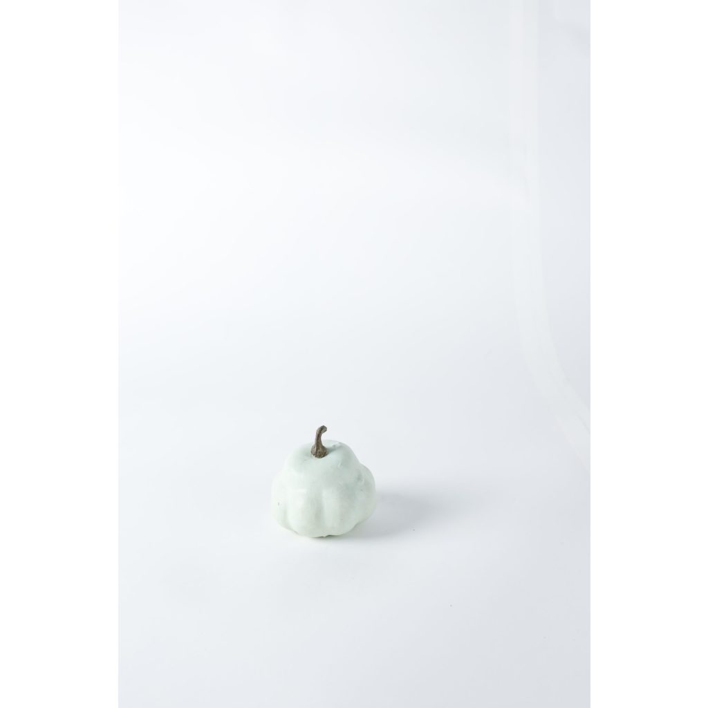 Pumpkin Mint