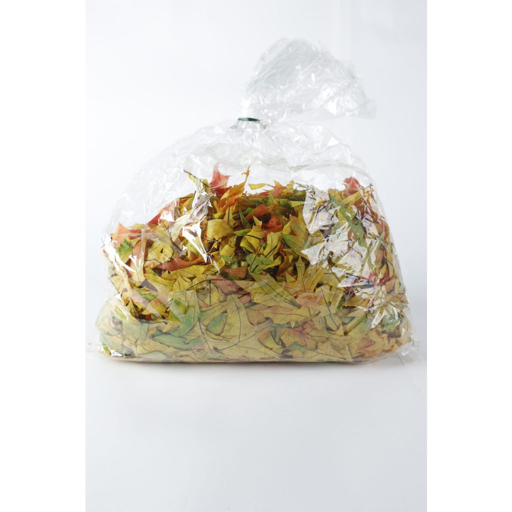 Fall Bag of Leaves