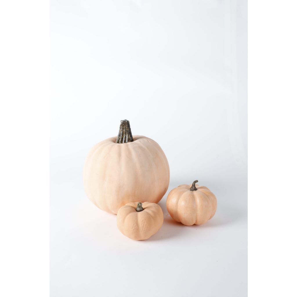 Peachy Orange Assorted Pumpkins