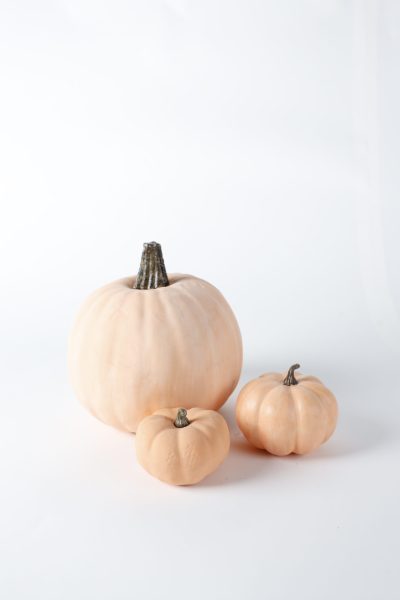 Peachy Orange Assorted Pumpkins