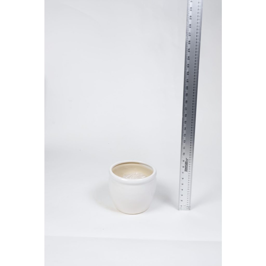 White Ceramic Planter