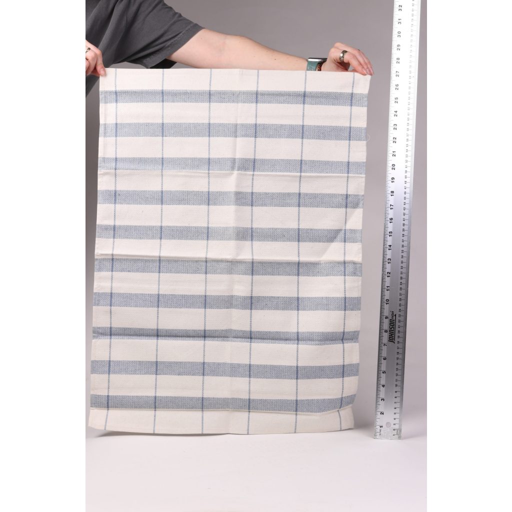 Blue Gingham Dish Towel