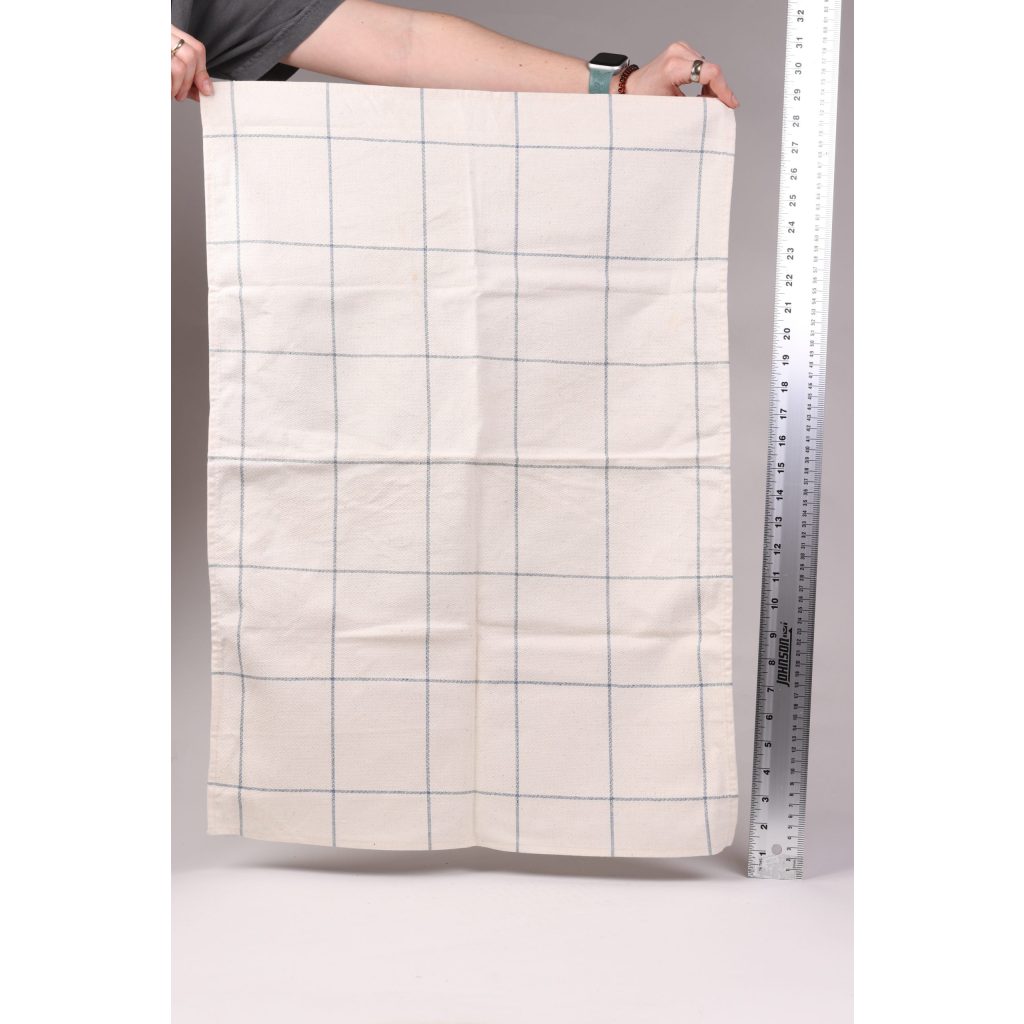Blue Grid Dish Towel