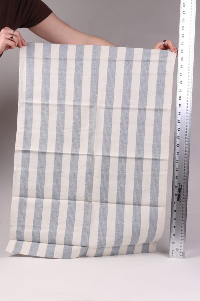 Blue Striped Dish Towel