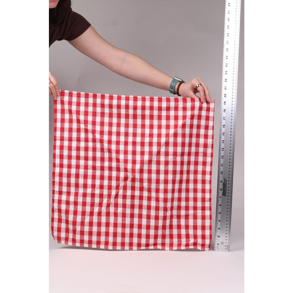 Red Gingham Napkin