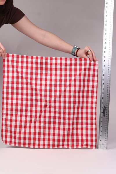 Red Gingham Napkin