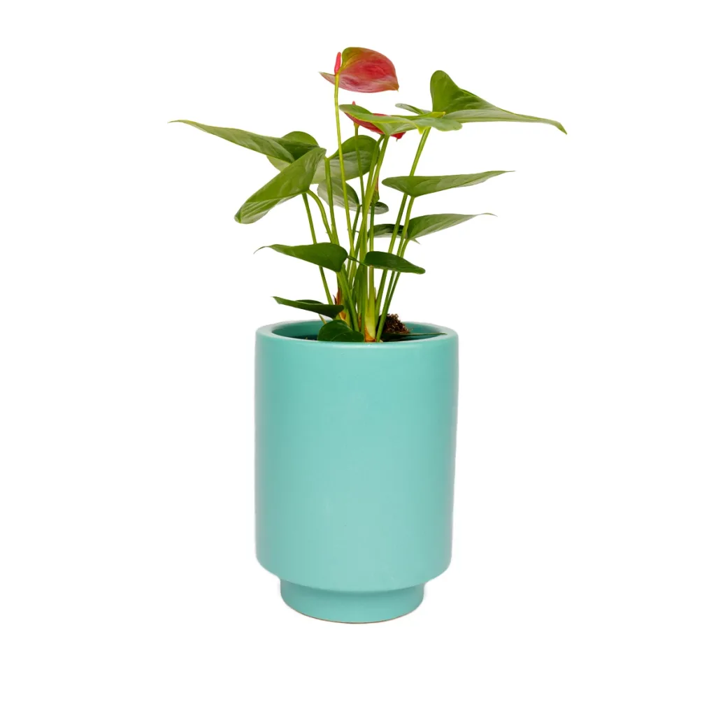 Jungalow Kaya Teal Planter