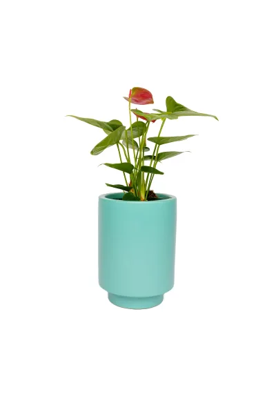 Jungalow Kaya Teal Planter