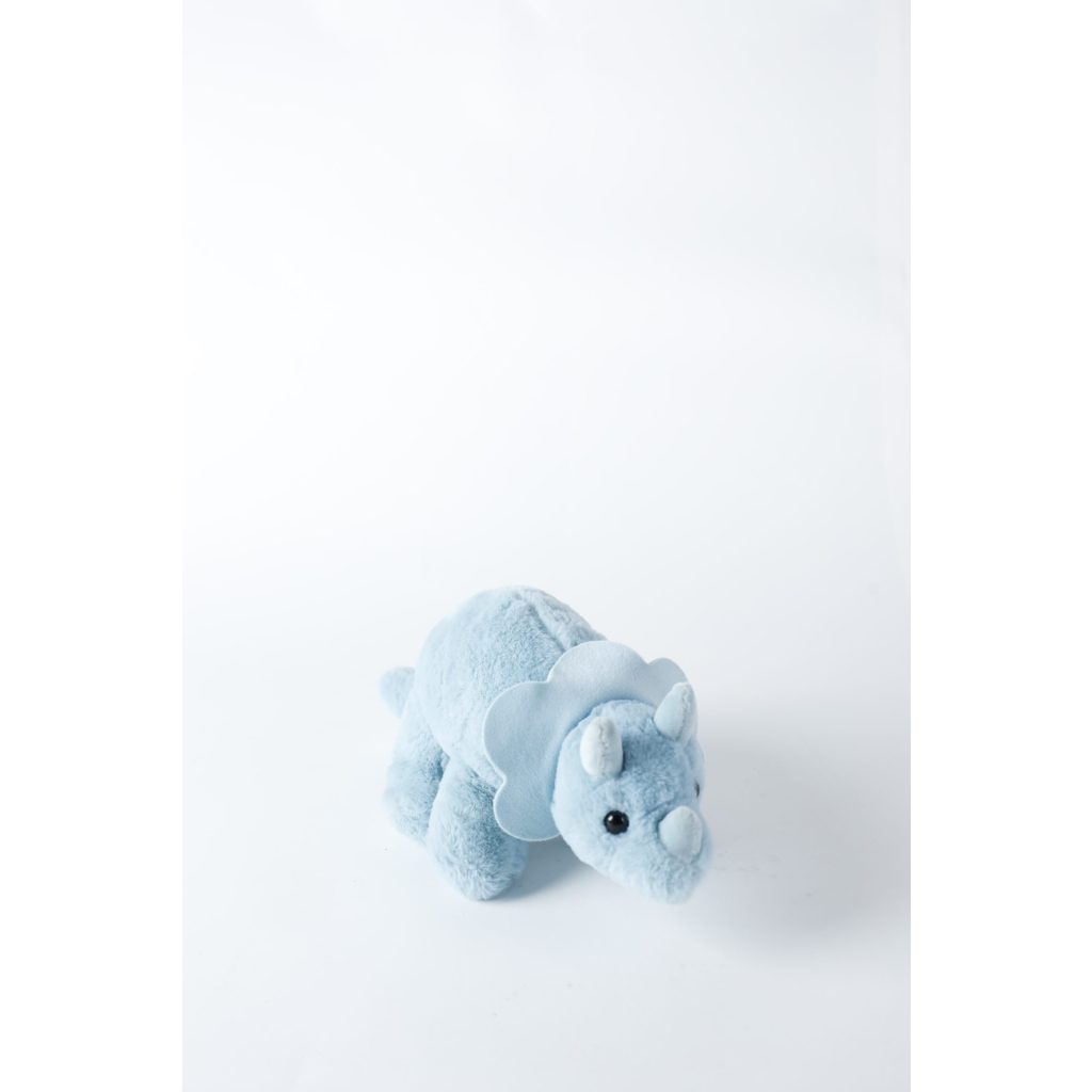 Kids Blue Dino