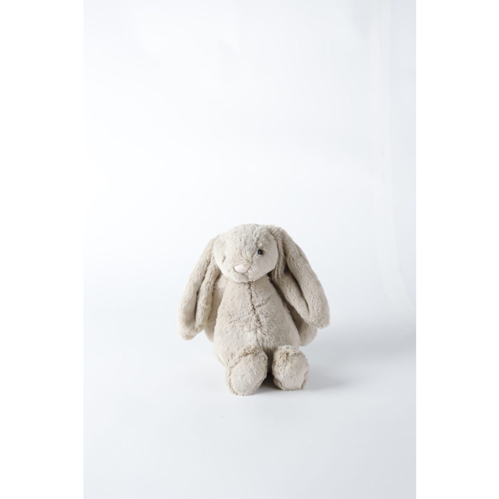 Stuffed Bunny