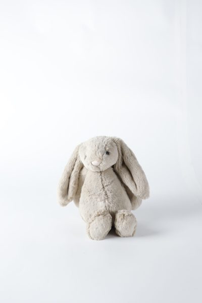 Stuffed Bunny