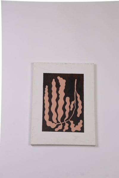 Salmon Wispy Vine Wall Art