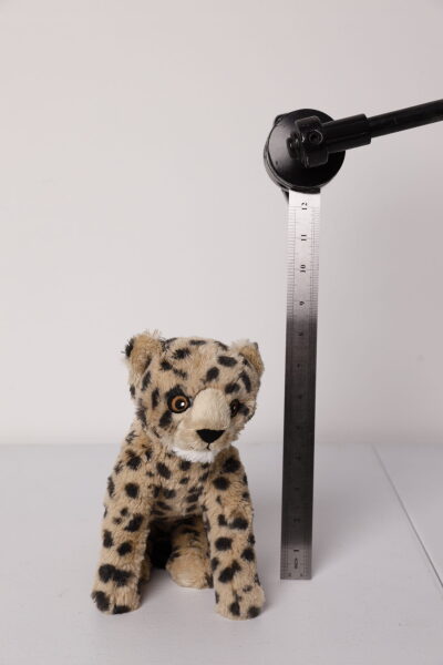 Kids Rocking Horse 2