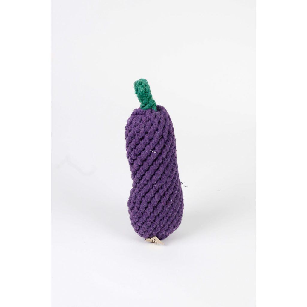 Dog Toy