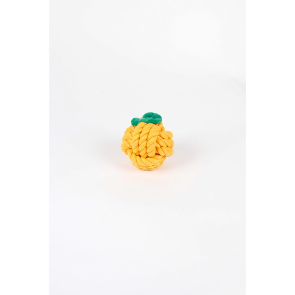 Dog Toy