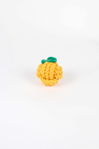 Dog Toy
