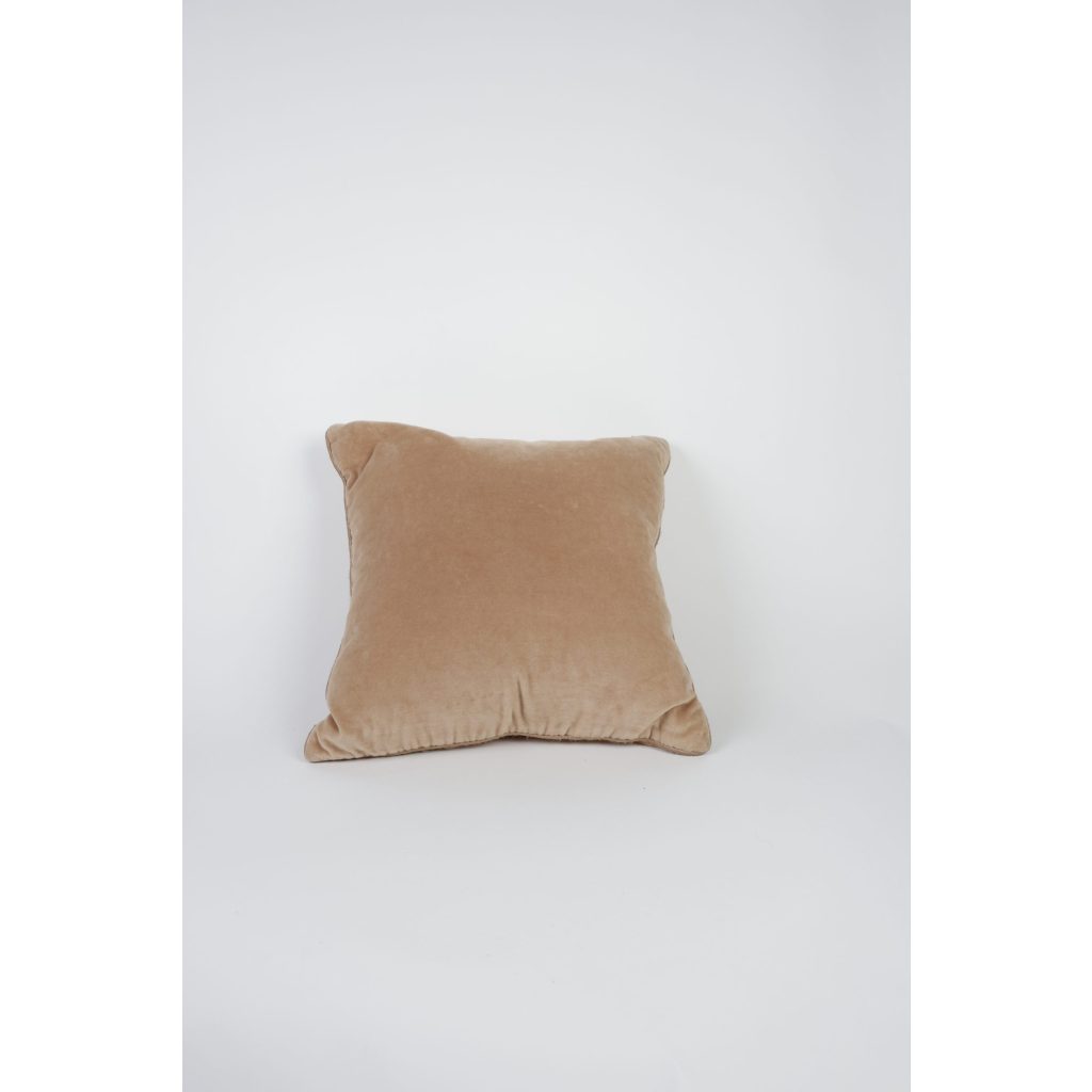 Light Orange Velvet Throw Pillow