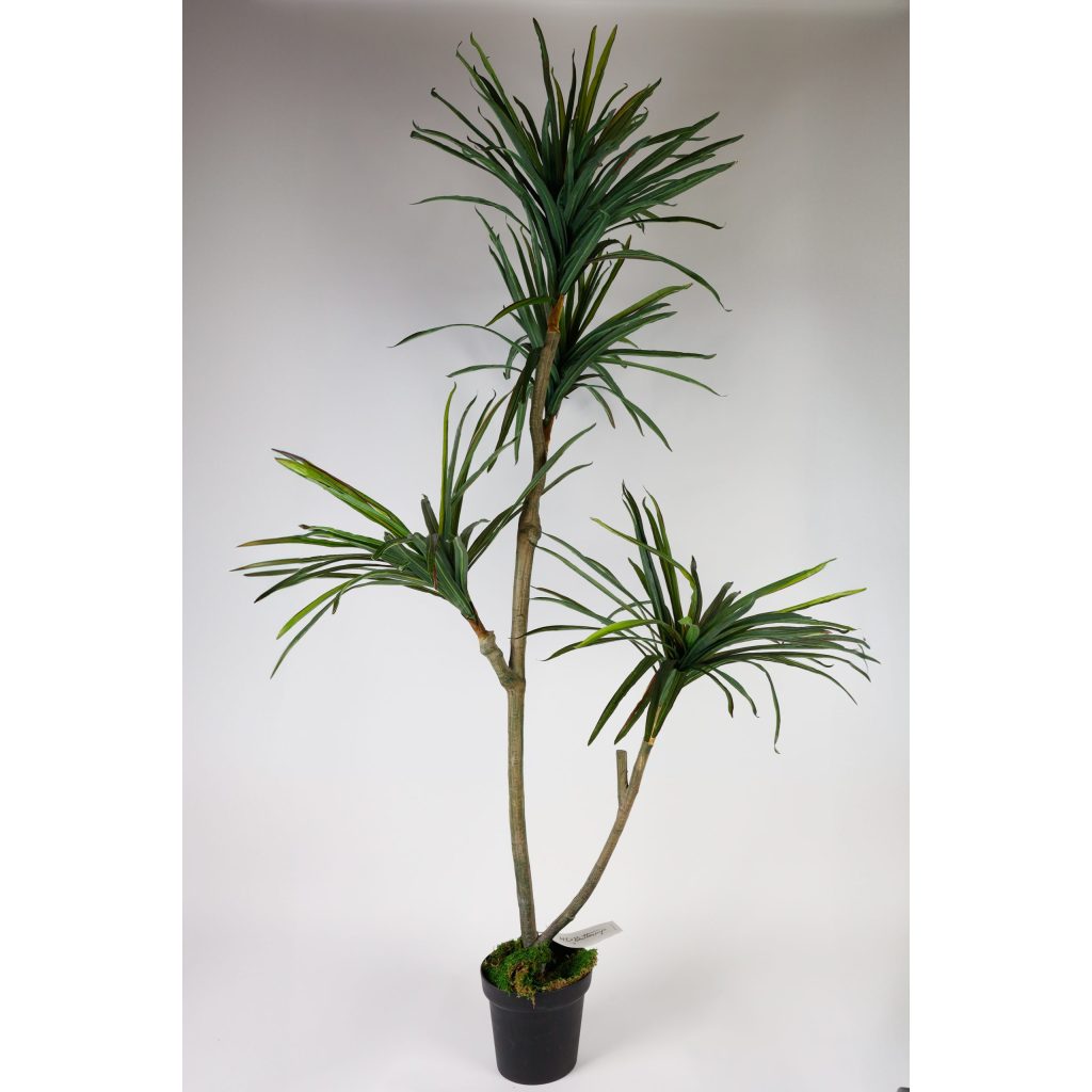 Fake Plant